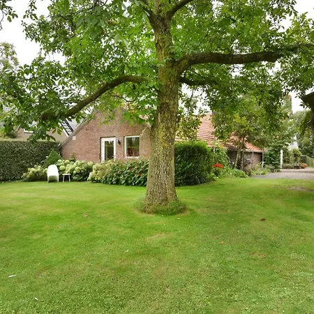 Bed & Breakfast+ De Kooimolen Bed and Breakfast Dreumel