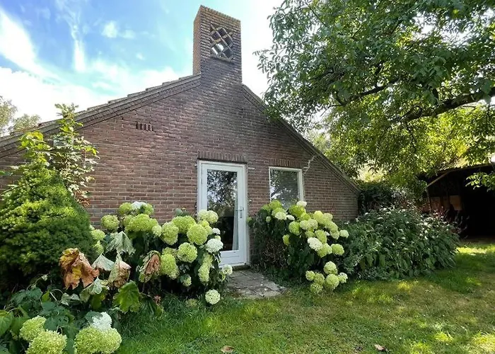 Bed & Breakfast+ De Kooimolen לינה וארוחת בוקר 4*